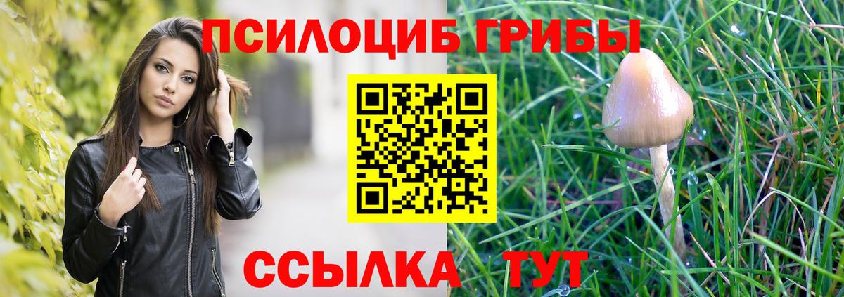 Галлюциногенные грибы Psilocybe  Вход с VPN  Галлюциногенные грибы мицелий  Сальск 